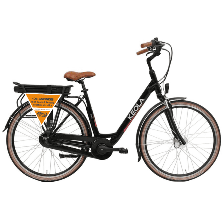 Elektrisches Niederländisches Fahrrad